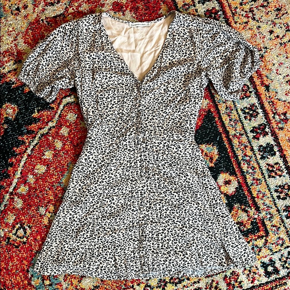 Abercrombie and Fitch Leopard Print Dress